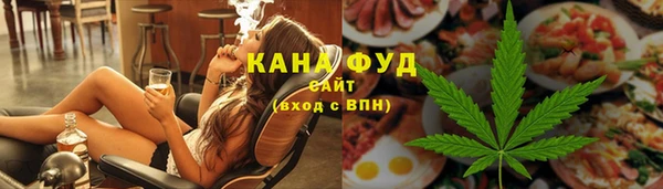 spice Богородицк