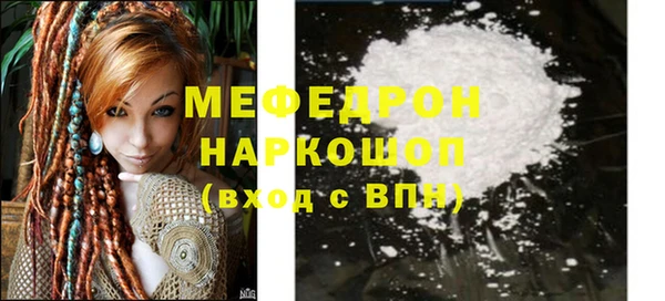 spice Богородицк